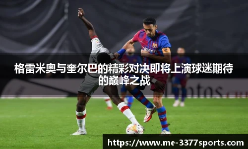 3377体育官网